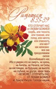 Наклейка 9,5х15см - Кто отлучит нас от любви Божией… Римлянам 8:35-39 (Золотые стихи Библии)