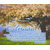 Мечтай! - открытка-карточка 8х9,5