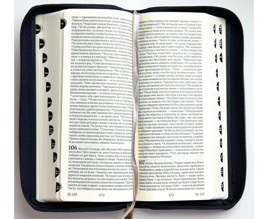 Библия в современном переводе (8,3х18,5см, тёмно-синий кожаный переплёт, индексы, серебряный обрез, закладка)