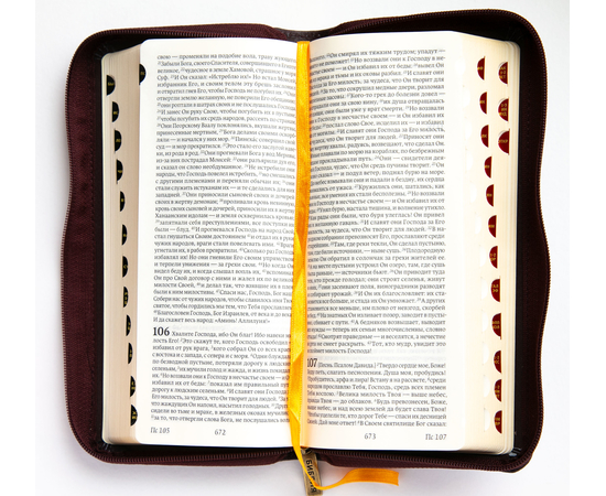 Библия в современном переводе (8,3х18,5см, бордовый кожаный переплёт, индексы, золотой обрез, закладка)