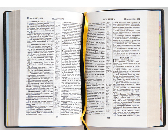 Библия каноническая (12х18,5см, гибкая обл., черный, золотое солнце, золотой обрез, 2 закладки)