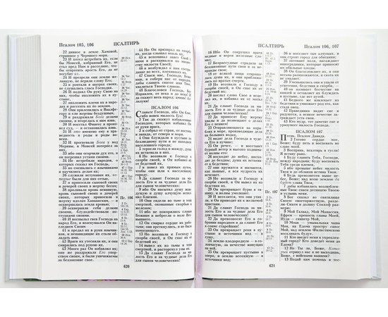 Библия ( 17х24см, тв. пер., ромашки, надпись "Библия", молния, 2 закладки, слова Иисуса выделены жирным, крупный шрифт)