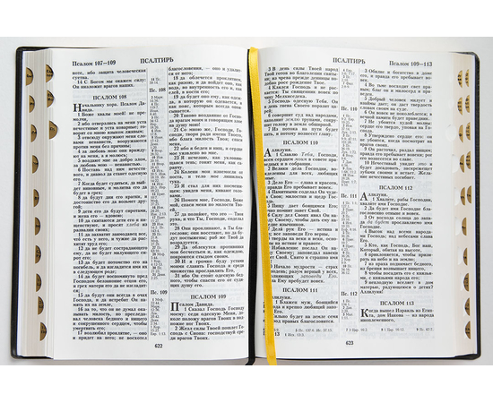 Библия ( 17х23,5см, искусств. кожа, чёрный, золотая рамка, надпись "Библия", золотой обрез, индексы, 2 закладки, слова Иисуса выделены жирным, крупный шрифт)