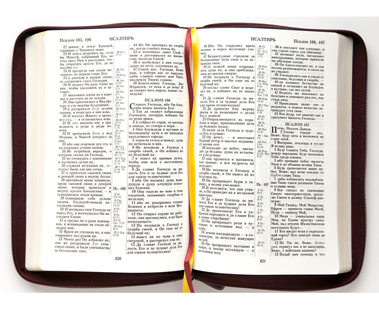 Библия (18х24,5, натуральная кожа, бордо пятнистый, Золотая рамка растительный орнамент, молния, 2 закладки, слова Иисуса выделены жирным, крупный шрифт)