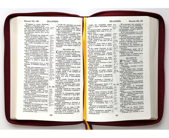 Библия (18х24,5, искусств. кожа, цвет коричневый с оттенком бордо, Рамка барокко, молния, 2 закладки, слова Иисуса выделены жирным, крупный шрифт)