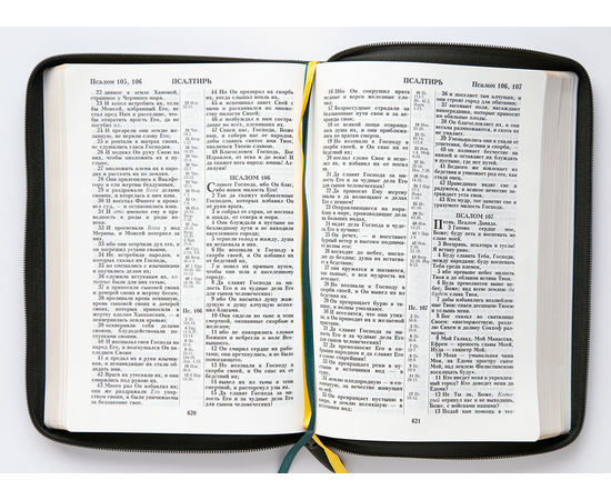 Библия (18х24,5, искусств. кожа, тёмно-зелёный металлик, Рамка барокко, молния, 2 закладки, слова Иисуса выделены жирным, крупный шрифт)