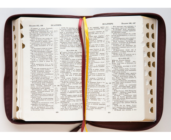 Библия (14х20,2см, натуральная кожа, бордо пятнистый, надпись "Библия", молния, золотой обрез, индексы, 2 закладки, слова Иисуса выделены жирным)