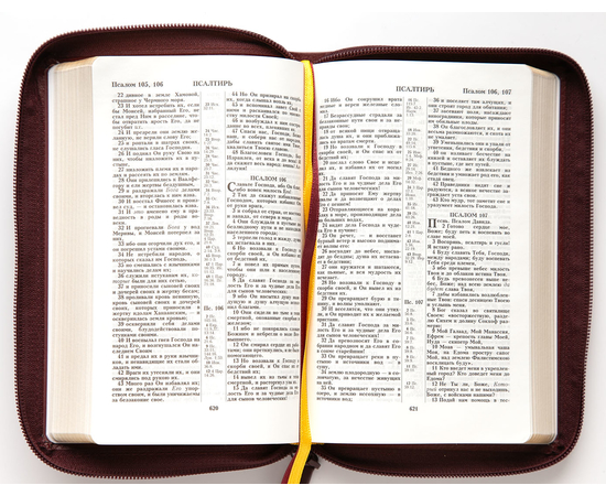 Библия (12,5х19,5, натуральная кожа, бордо пятнистый, надпись "Библия" с вензелем, молния, золотой обрез, 2 закладки, слова Иисуса выделены жирным)
