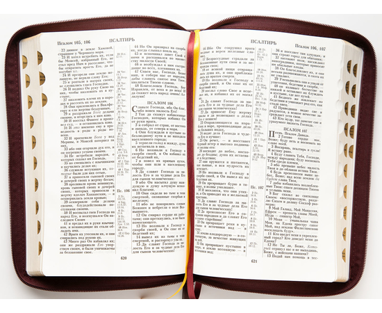 Библия (18х24 см, исск. кожа, темно-бордовый, дизайн "Рамка барокко", молния, золотой обрез, индексы, 2 закладки, слова Иисуса выделены жирным, крупный шрифт)
