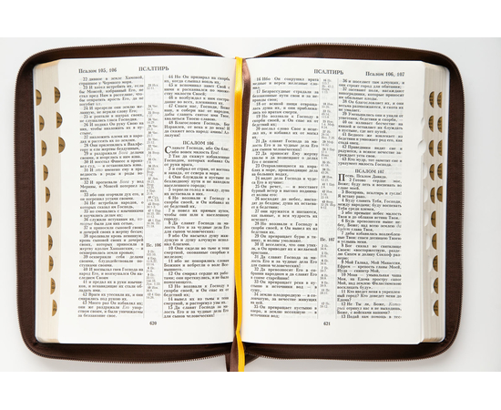 Библия (18х24 см, натуральная кожа, коричневый пятнистый, надпись "Библия" с вензелем, молния, золотой обрез, индексы, 2 закладки, слова Иисуса выделены жирным, крупный шрифт)