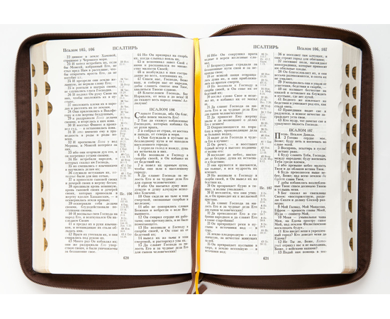 Библия (18х24 см, натуральная кожа, коричневый пятнистый, дизайн "Золотая рамка с виноградной лозой", молния, золотой обрез, индексы, 2 закладки, слова Иисуса выделены жирным, крупный шрифт)