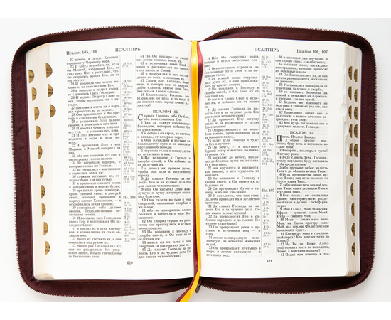 Библия (18х24 см, натуральная кожа, бордо пятнистый, надпись "Библия" с вензелем, молния, золотой обрез, индексы, 2 закладки, слова Иисуса выделены жирным, крупный шрифт)
