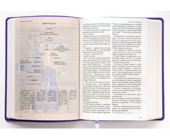 Учебная Библия в новом русском переводе с  дополнениями (фиолетовая)