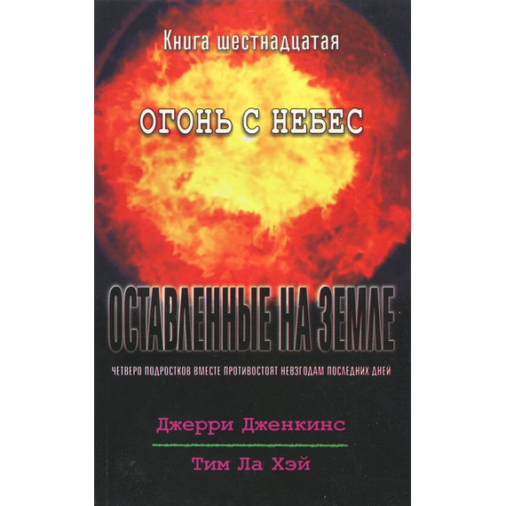 Оставленные на земле - книга 16 "Огонь с небес"
