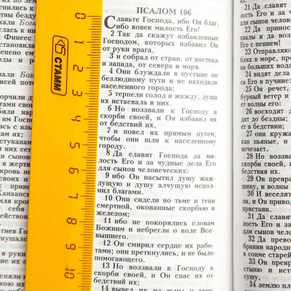 Библия (14,3х22 см, натуральная кожа, чёрный, дизайн "золотой лев", молния, золотой обрез, индексы, 2 закладки, слова Иисуса выделены жирным, крупный шрифт)