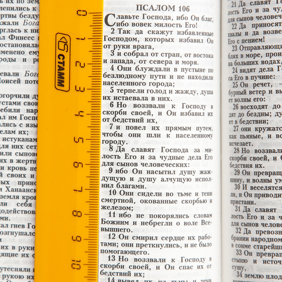 Библия (14,5х22см, тёмно-коричневый термовинил, молния, золотой обрез, закладка, крупный шрифт)
