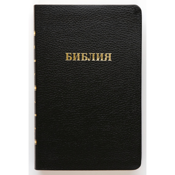 Библия (14х21,5см, чёрная кожа, золотой обрез, закладка, крупный шрифт)