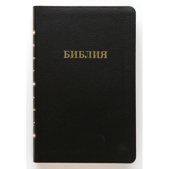 Библия (14х21,5см, чёрная матовая кожа, золотой обрез, закладка, крупный шрифт)