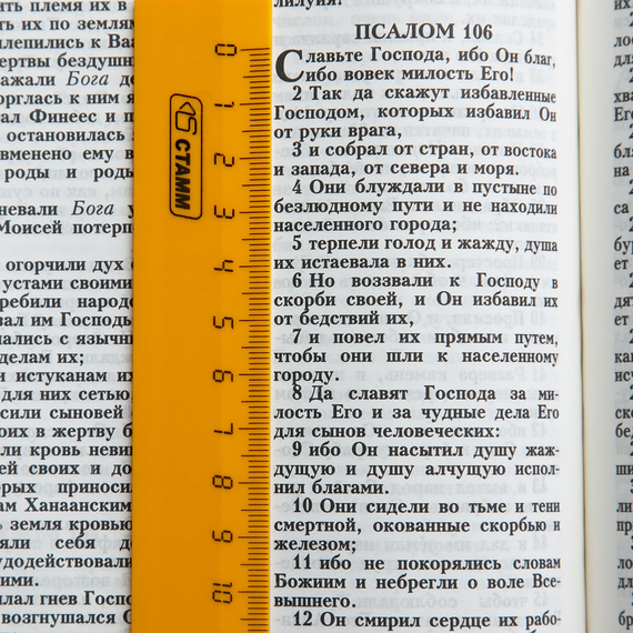 Библия (18х24,5, искусств. кожа, серо-бежевый, Терновый венец, молния, 2 закладки, слова Иисуса выделены жирным, крупный шрифт)