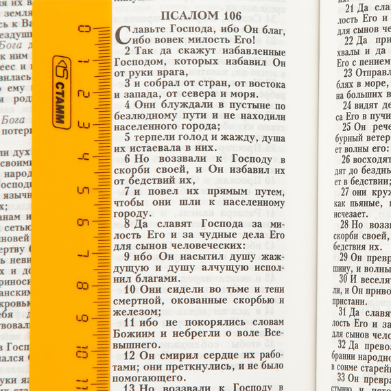 Библия ( 18х24см, натуральная кожа, чёрный, Золотой лев, золотой обрез, индексы, 2 закладки, крупный шрифт)