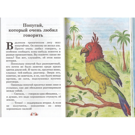 Рассказы Белого Енота