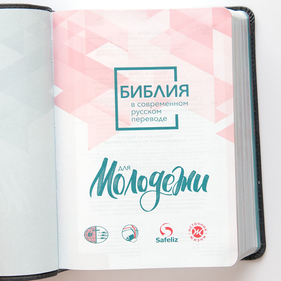 Библия для молодежи (новый русский перевод, статьи, цветные вставки, серая обложка)