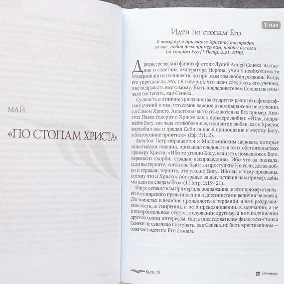 Под сенью благодати. Ежедневные чтения для всей семьи